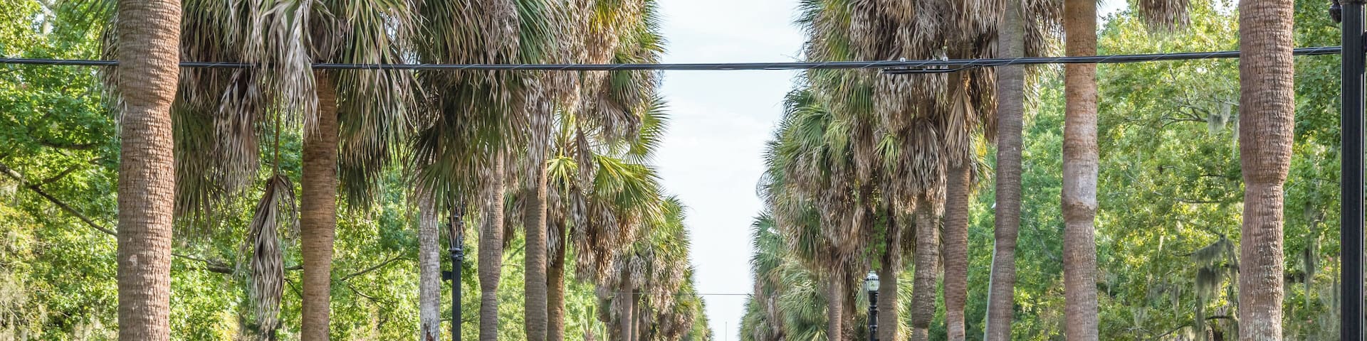 Savannah_BaldwinPark_6300962_04