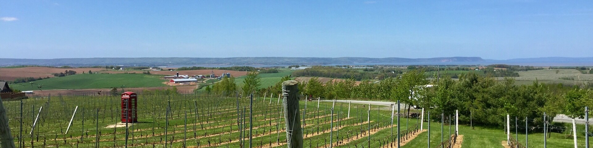 After sampling all the delicious wines pick your favourite and head out to the deck for lunch overlooking the famous phone box in the vines and stunning views down to the ocean. You won't be disappointed! 😍
#green #phoneboxred #roadtrip #GreatOutdoors