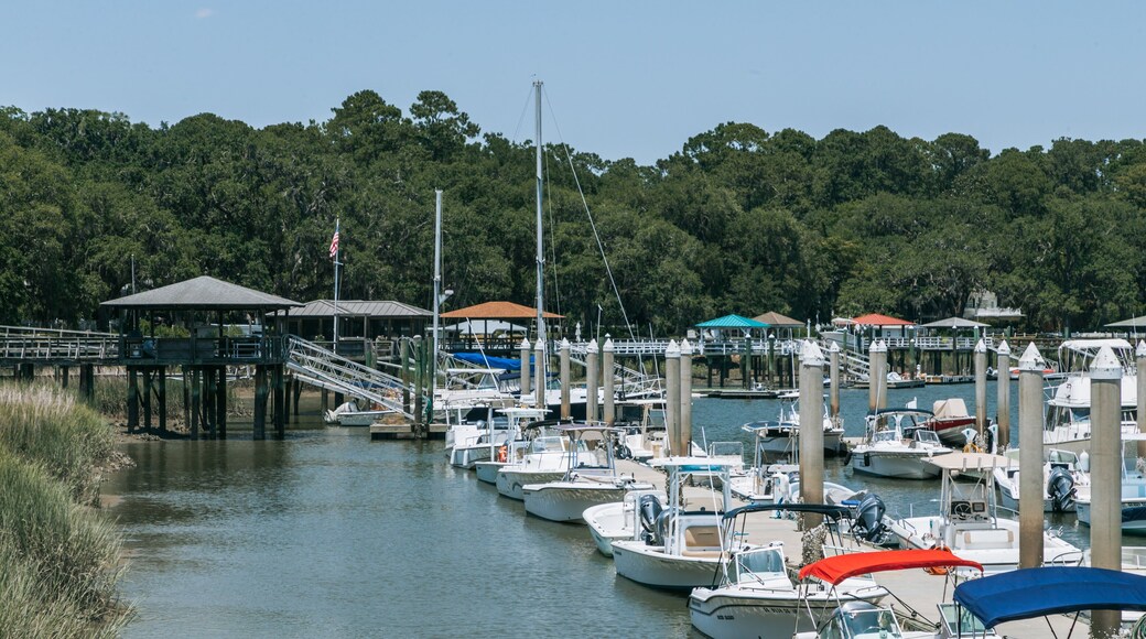 Isle of Hope Historic District featuring a bay or harbor