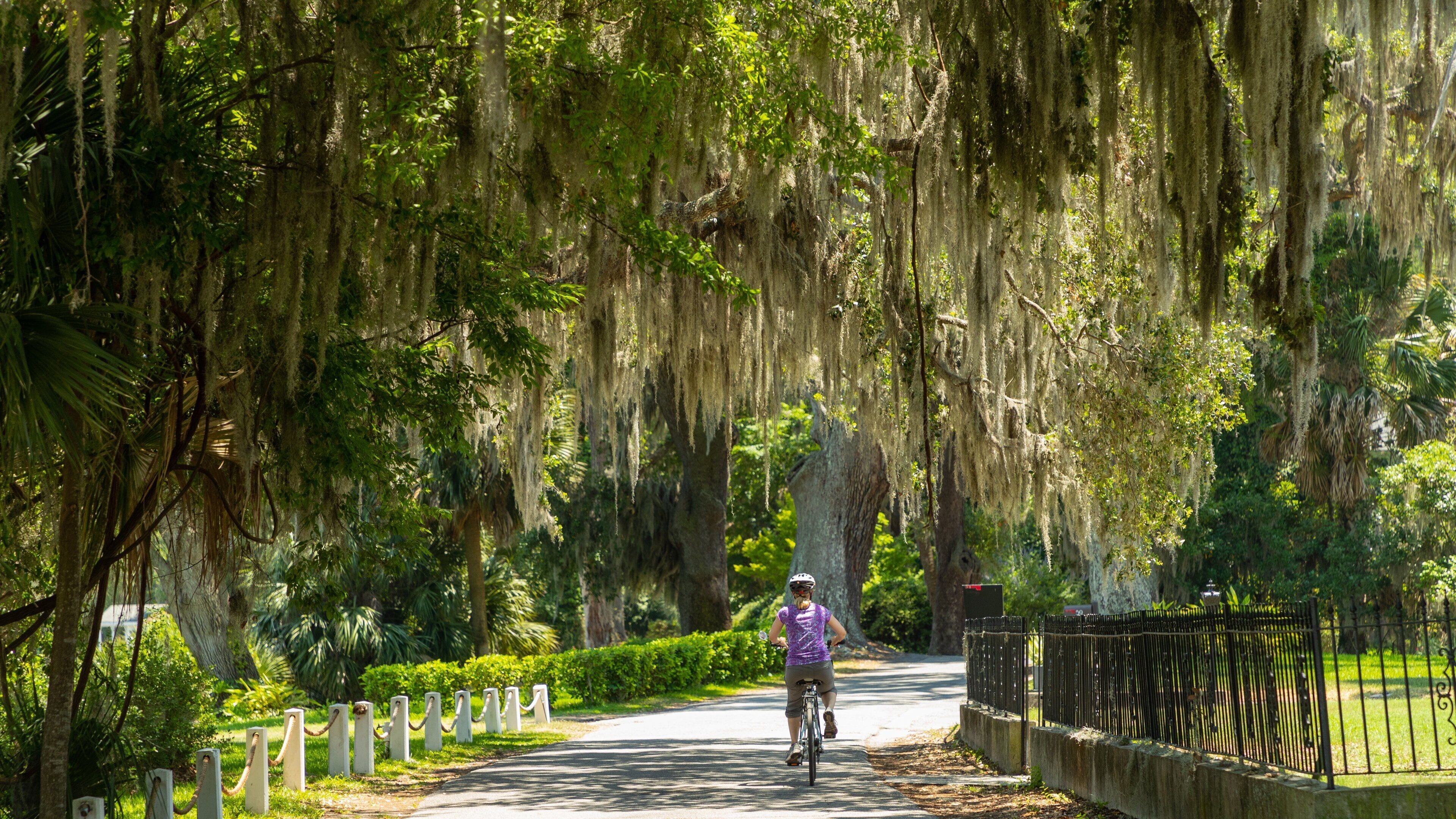 Isle of Hope Historic District