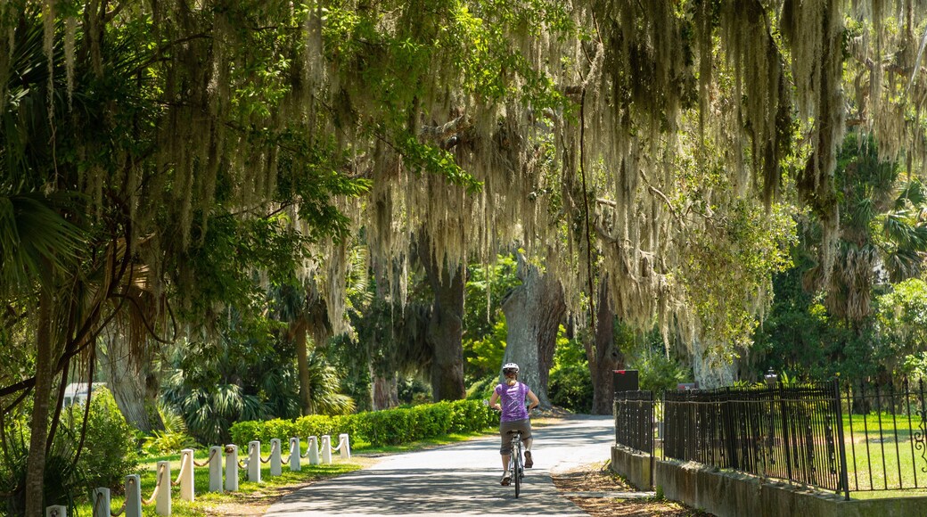 Isle of Hope Historic District