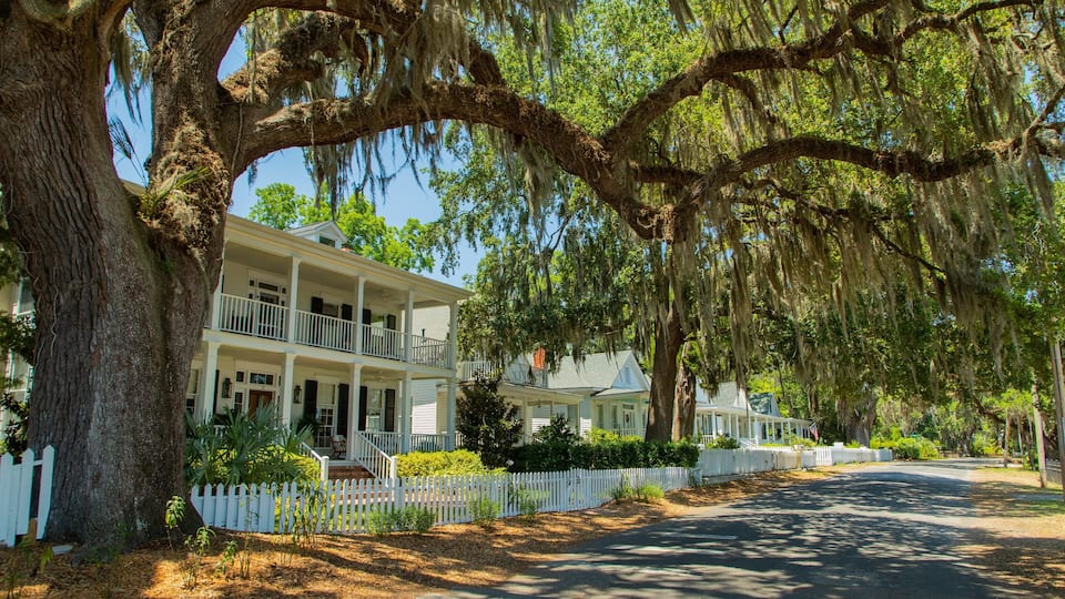 A white colonial-style house with a porch, surrounded by mature trees with Spanish moss.