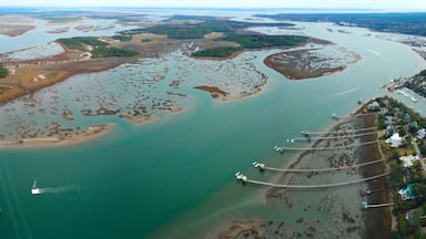 Estuarine coastline landscape from the bird view