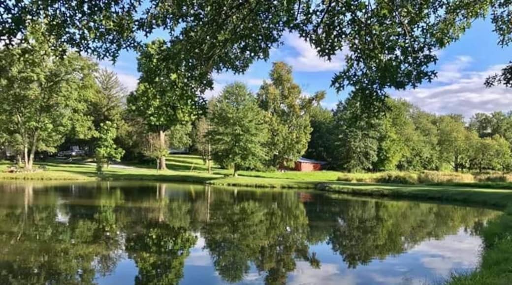 Believe it or not, 10 hours later we were in the through of hurricane Irma.