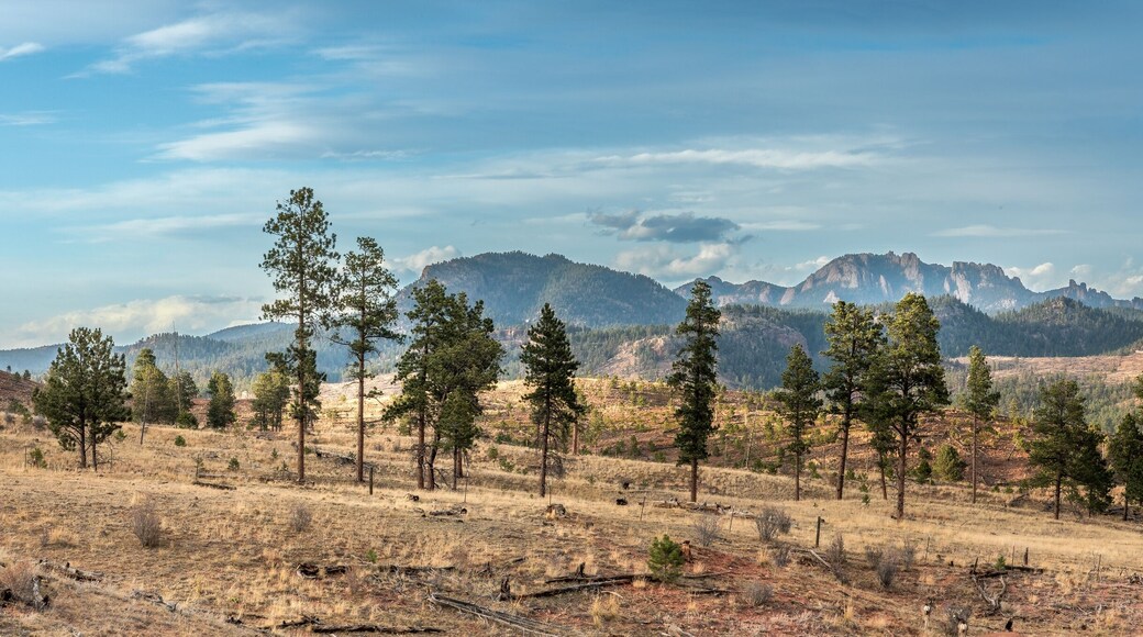 Cascade-Chipita Park