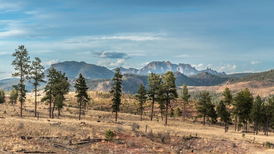 Panoramic landscape of the Cascade Chipita Park in Colorado, USA