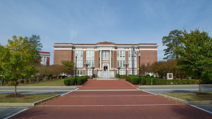 Suffolk Center for Cultural Arts