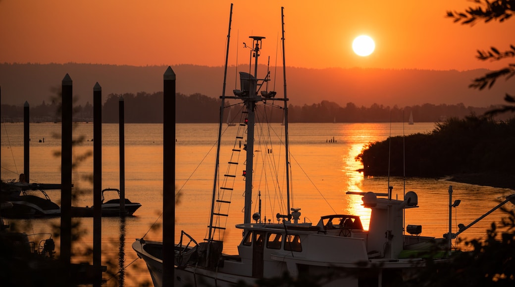 Puerto deportivo de yates de Tidewater