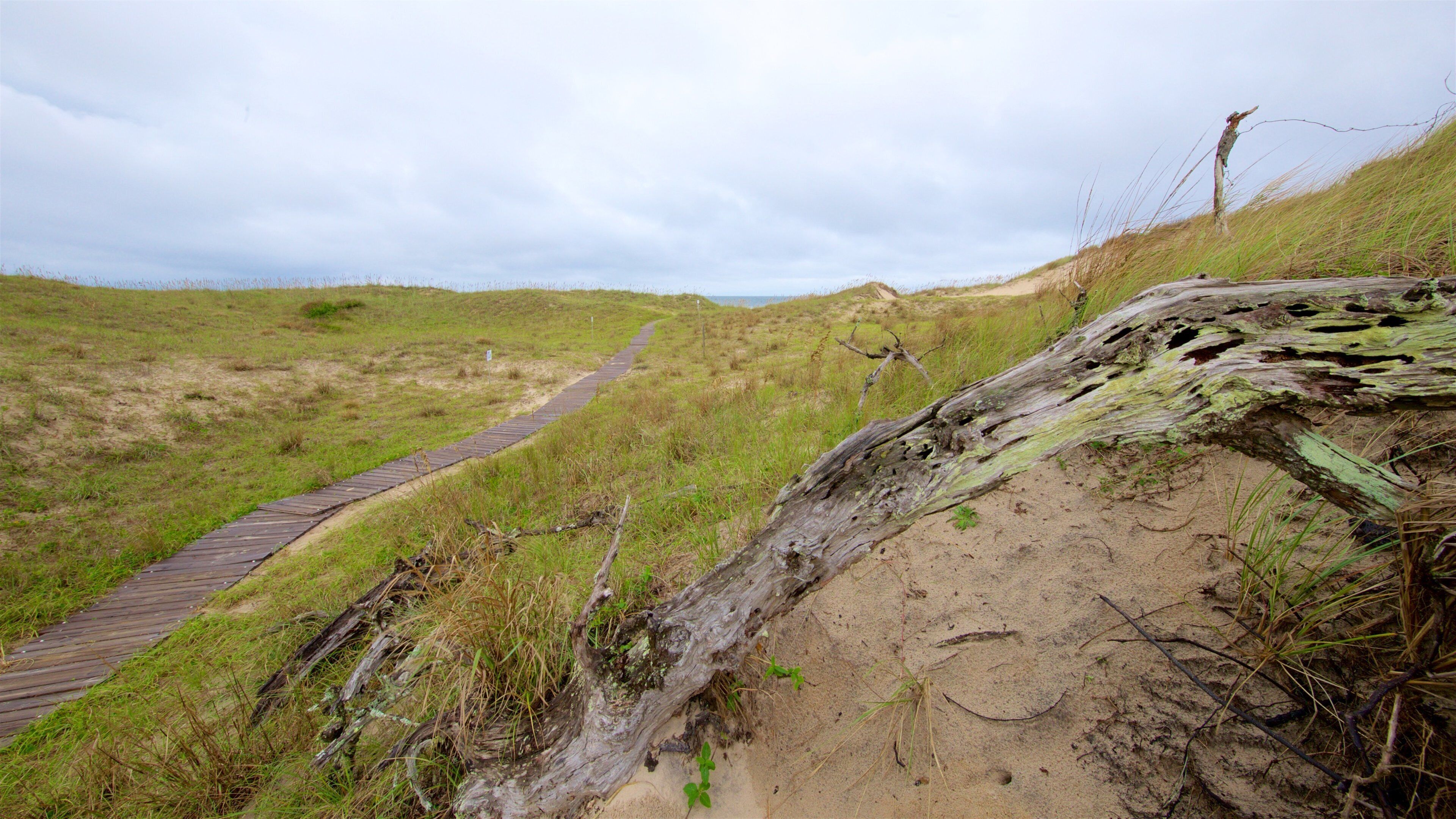 貝克灣國家野生動物保護區 呈现出 綜覽海岸風景