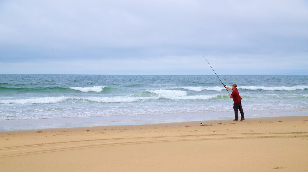 Back Bay National Wildlife Refuge showing general coastal views, a sandy beach and fishing