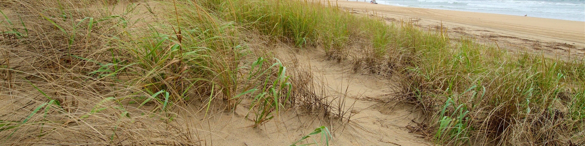 Back Bay National Wildlife Refuge featuring a sandy beach and general coastal views