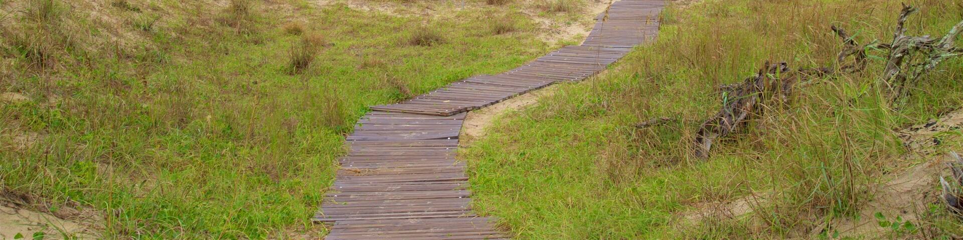 Back Bay National Wildlife Refuge which includes general coastal views