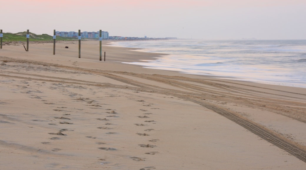 False Cape State Park featuring landscape views and a sandy beach