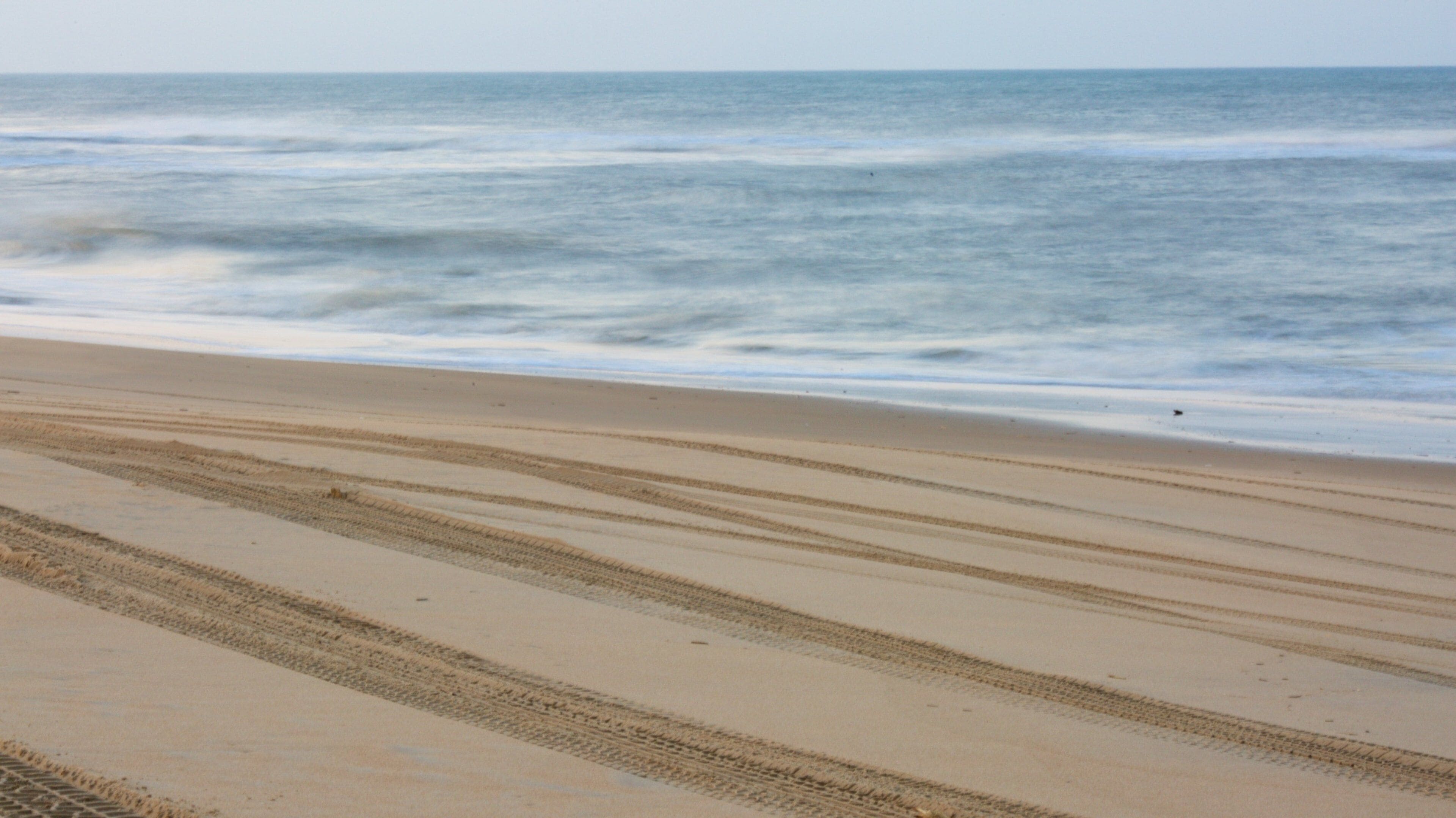 フォールス ケープ州立公園 どの含み 波 と ビーチ