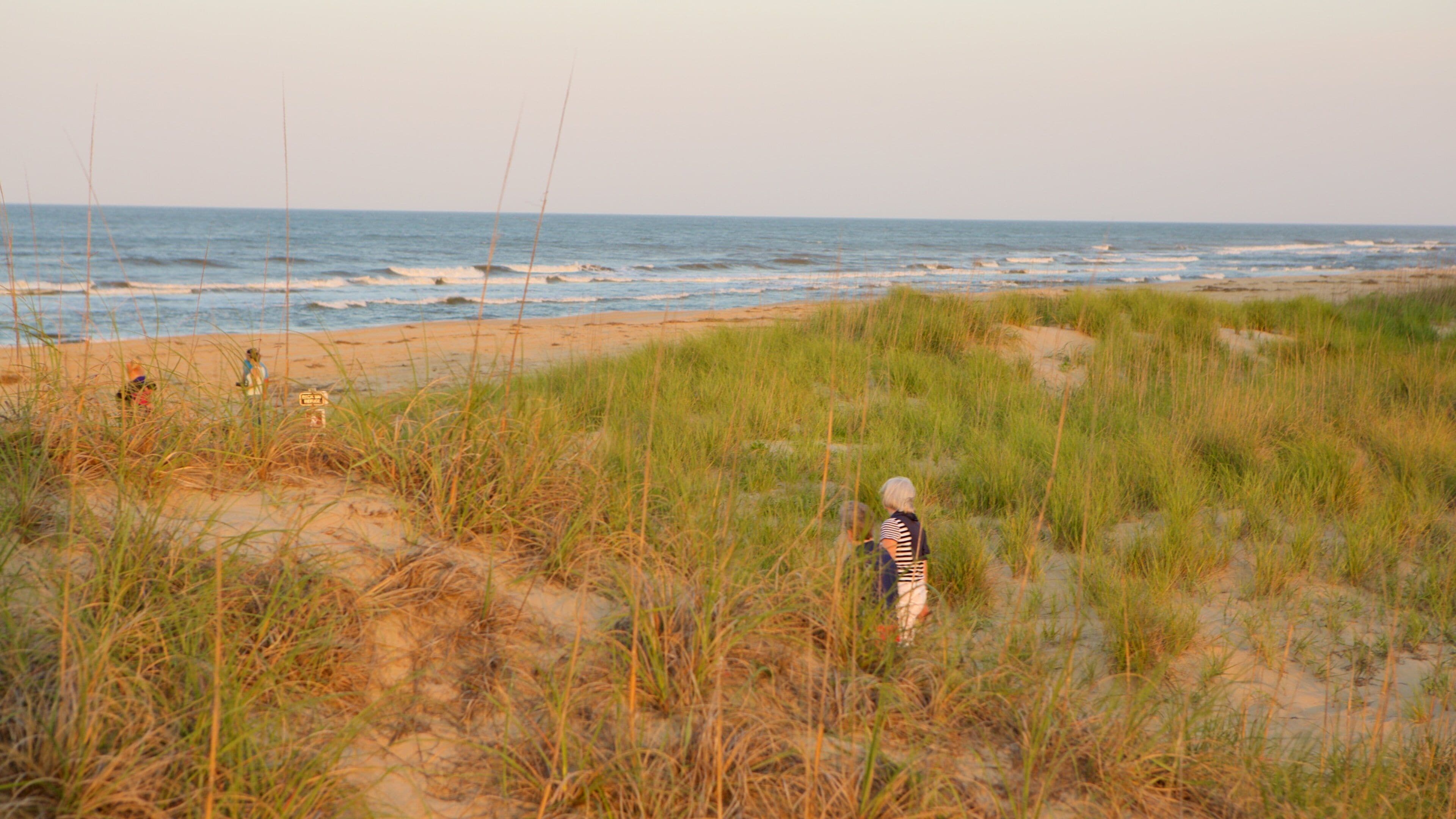 フォールス ケープ州立公園 フィーチャー 砂浜