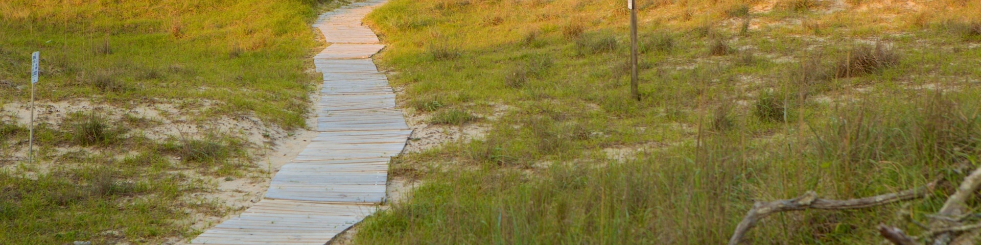 False Cape State Park featuring general coastal views