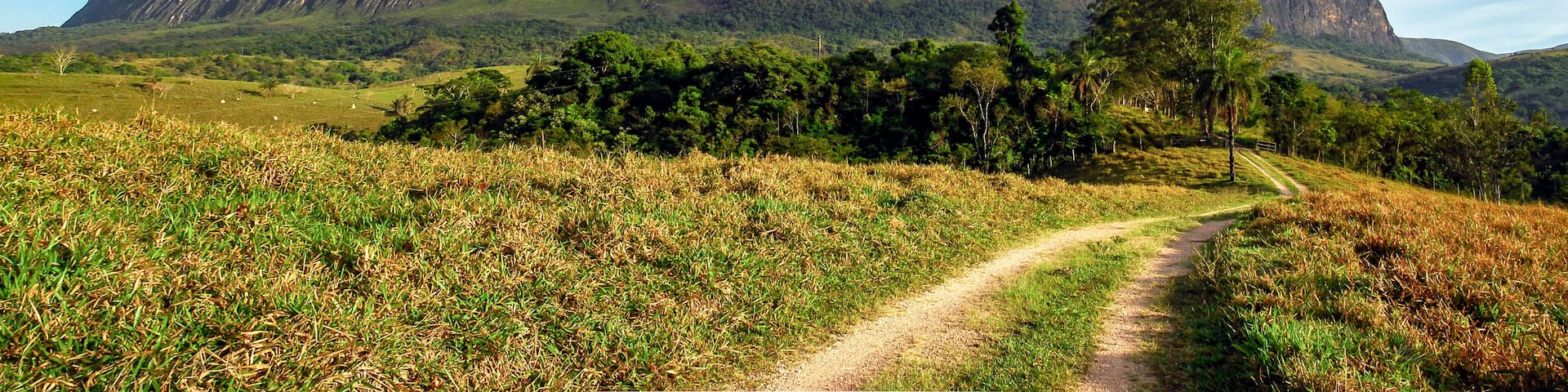 Panorama of the large rock wall, of the Serra da Canastra park massif, with forest and pastures, sunny day and blue sky with clouds, São Roque de Minas, Minas Gerais, Brazil