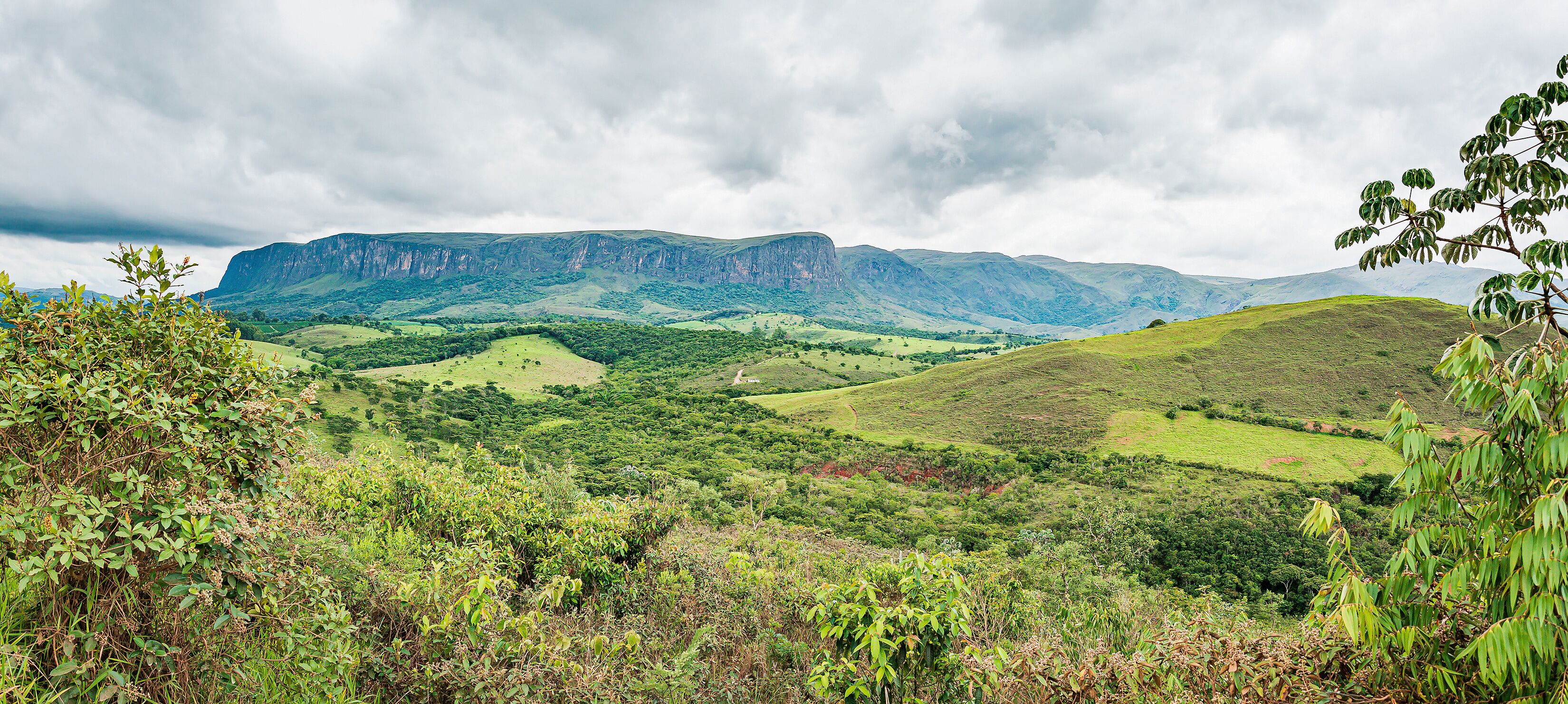 São Roque de Minas
