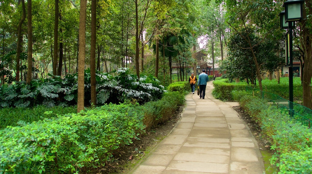 Wenshu Monastery showing a garden