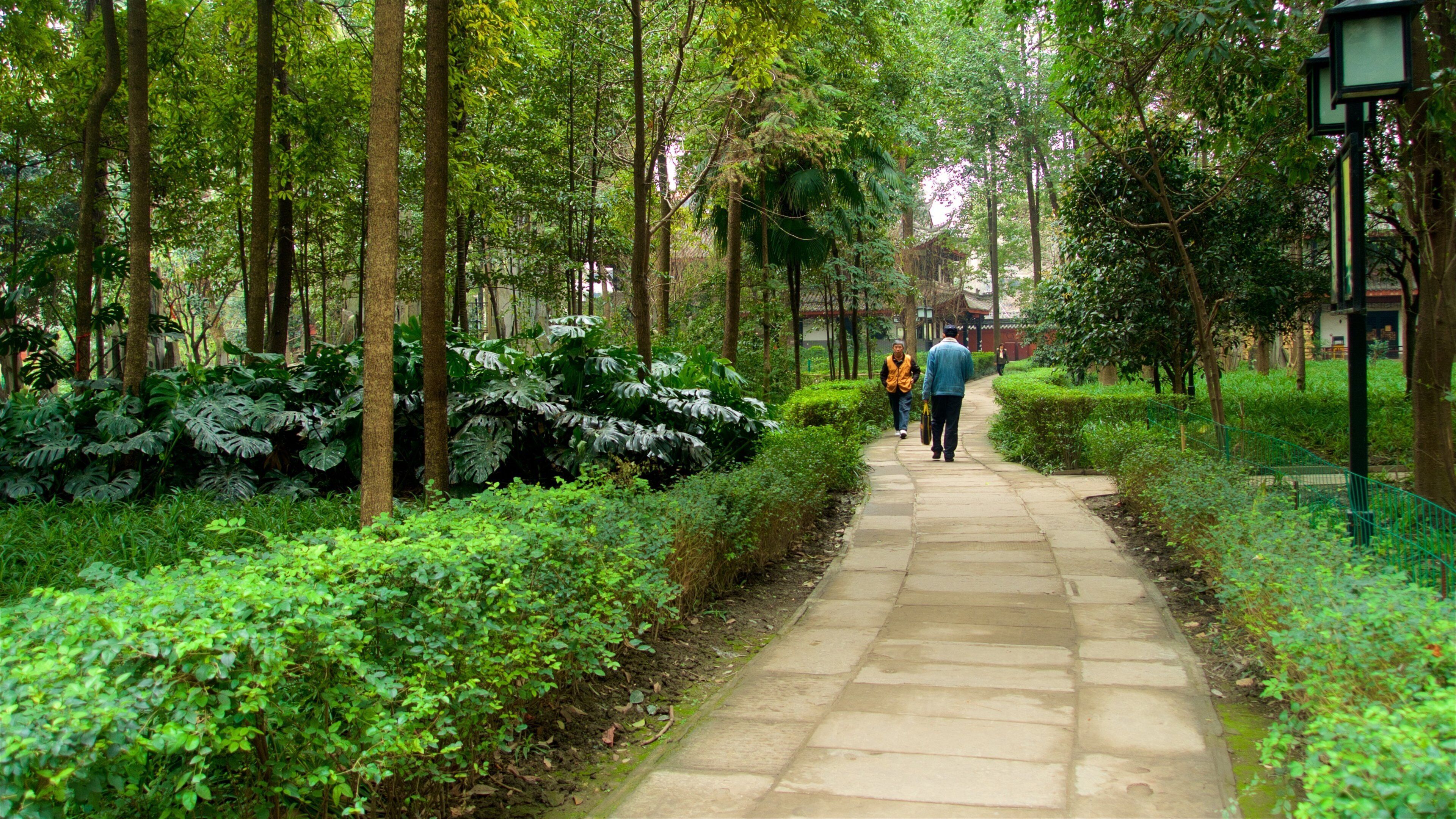 A stone pathway flanked by lush greenery and tall trees in a park.