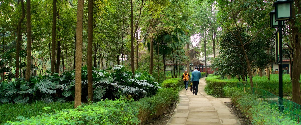 A stone pathway flanked by lush greenery and tall trees in a park.