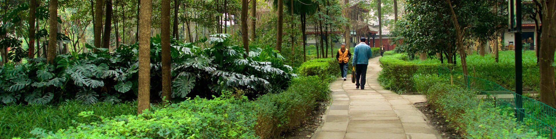 A stone pathway flanked by lush greenery and tall trees in a park.