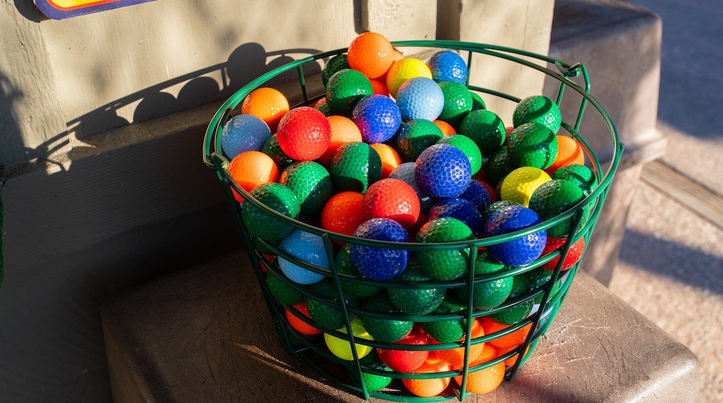 Coconut Creek Family Fun Park featuring golf