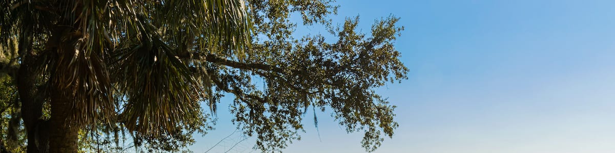 Old Town Wharf Boardwalk at The Wright Family Park, Bluffton, South Carolina, USA