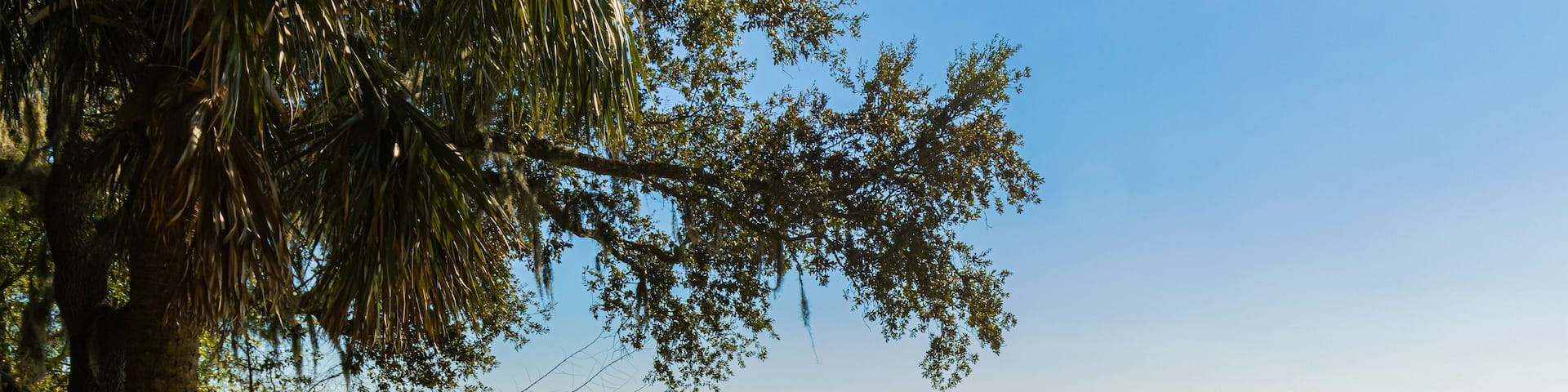 Old Town Wharf Boardwalk at The Wright Family Park, Bluffton, South Carolina, USA