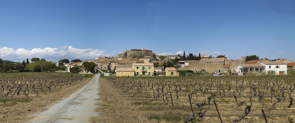 A vineyard with a dirt path leading to a village with historic buildings.