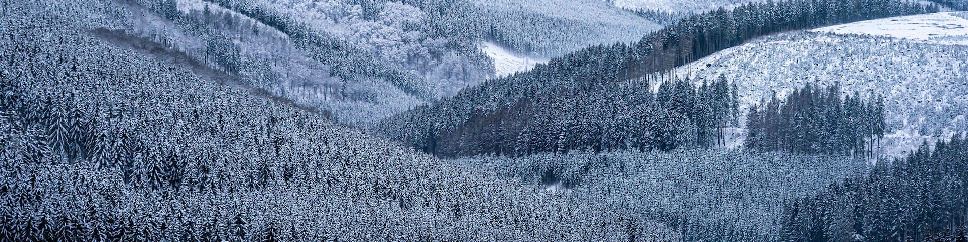 Winterlandschaft in Deutschland