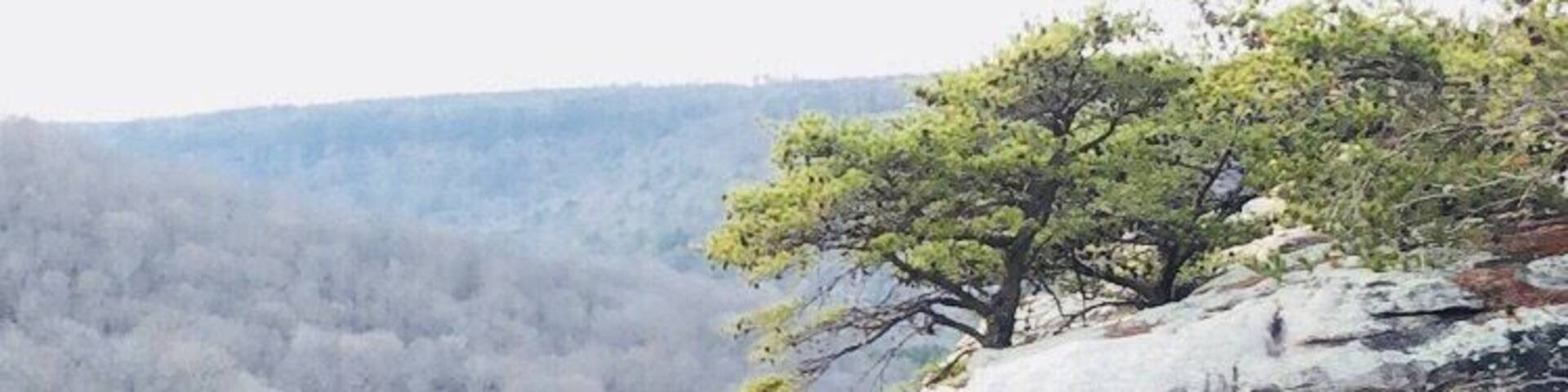 Great hidden overlook over the canyon. Short walk from parking area. Very close to High Falls Park. I recommend visiting both!