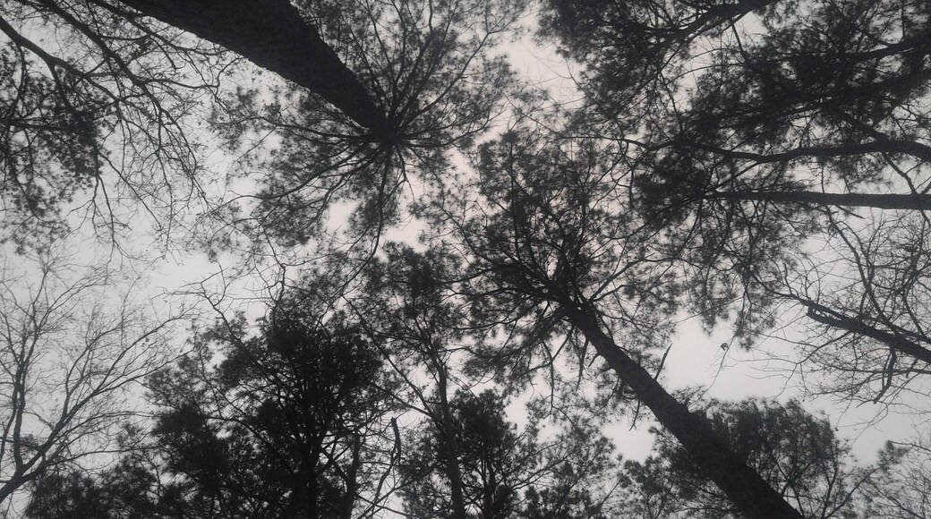 #camping #texasstateparks #spring #gocdaworld