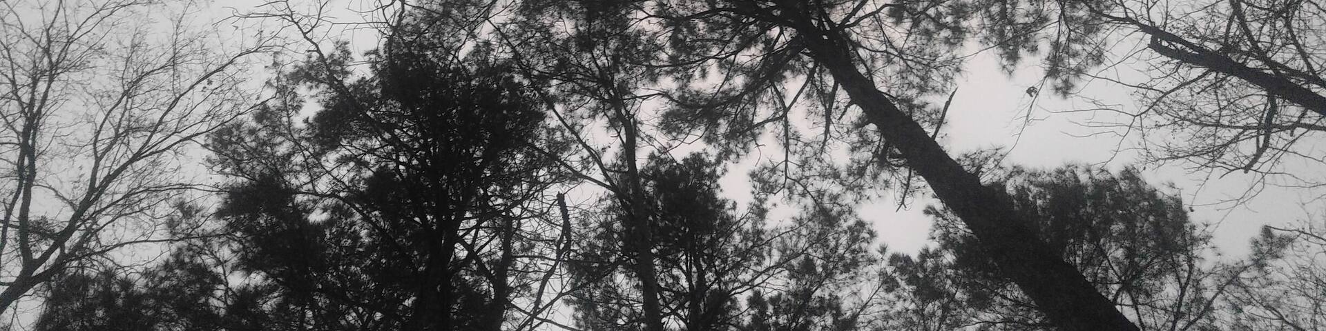 #camping #texasstateparks #spring #gocdaworld