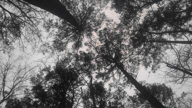 #camping #texasstateparks #spring #gocdaworld