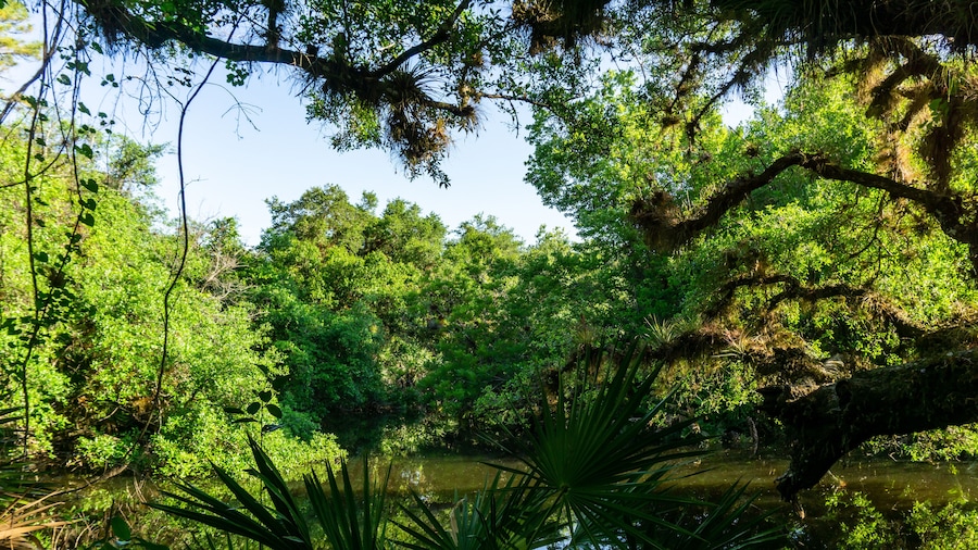 Parc Estatal de South Fork