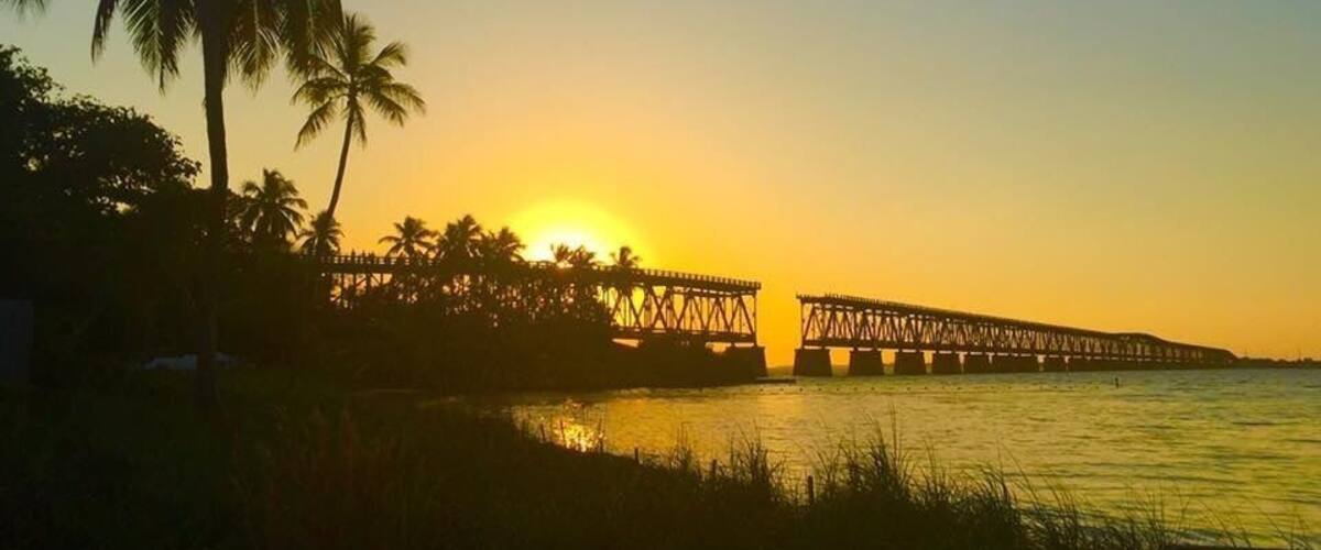 Un atardecer sobre un puente con palmeras y agua.