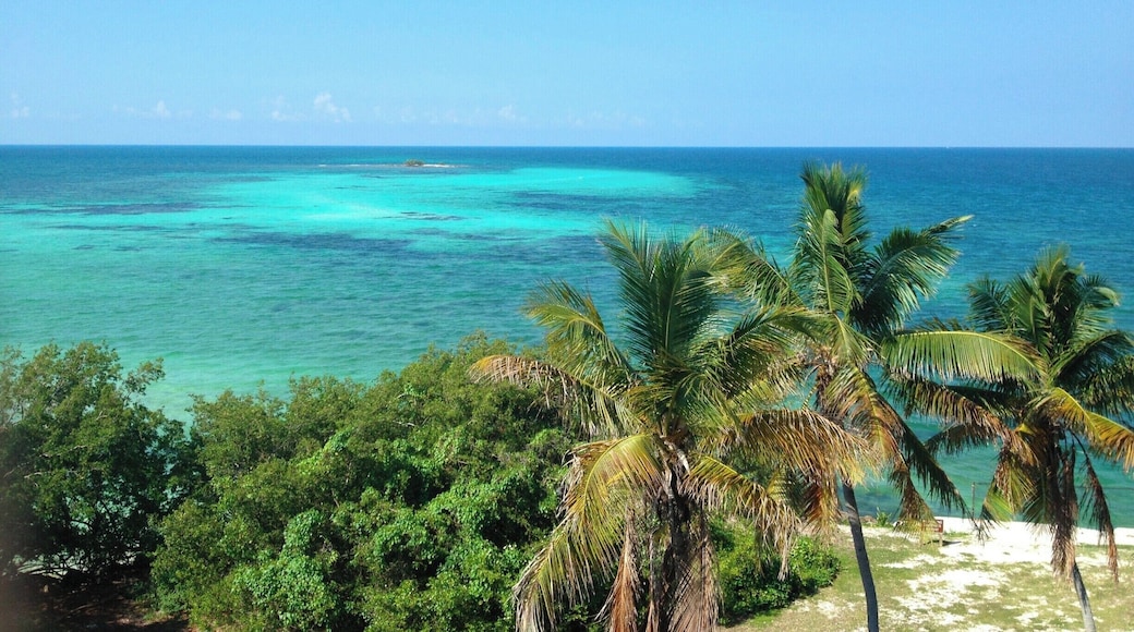 The view from the bridge at Bahia Honda is unreal. The colors of the water are so beautiful and the #blue can vary so much! We love this park more than most we have ever visited!