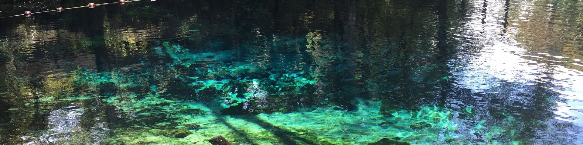 The crystal clear (and unedited) water at Fanning Springs State Park. You can see all of the rock formations on the bottom below. Nice place to go if you're looking to swim! Manatees have been spotted here in the colder months. There are many other springs in the area so you can visit a few in one day!