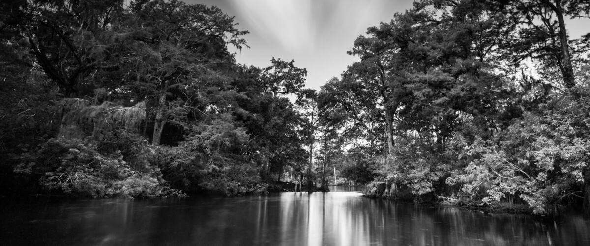 B/W long exposure of the river entrance to Fanning Springs.