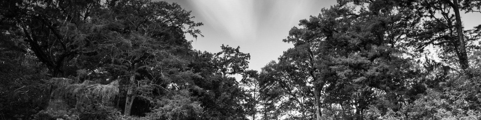 B/W long exposure of the river entrance to Fanning Springs.
