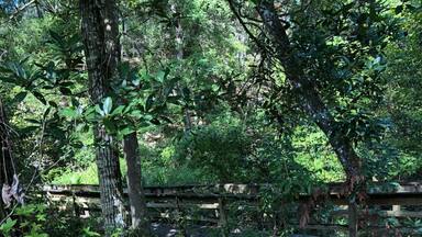 Mike Roess Goldhead branch state park offers beautiful hikes through this natural ravine. The hike is a mile one way, and takes you from the top of the ravine, to an old mill site situated near the campgrounds.