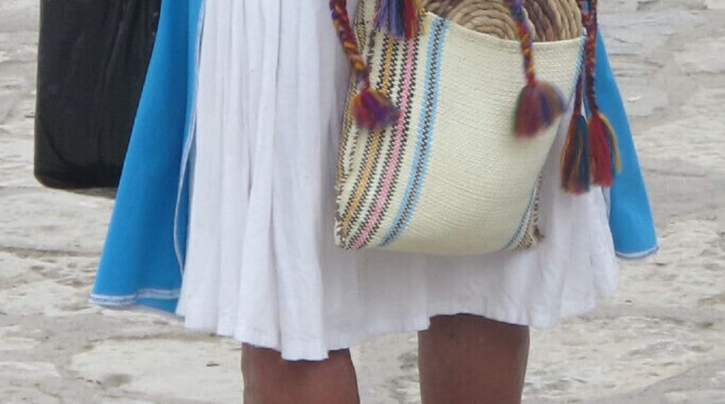 Mexican Indigenous woman selling her craft...