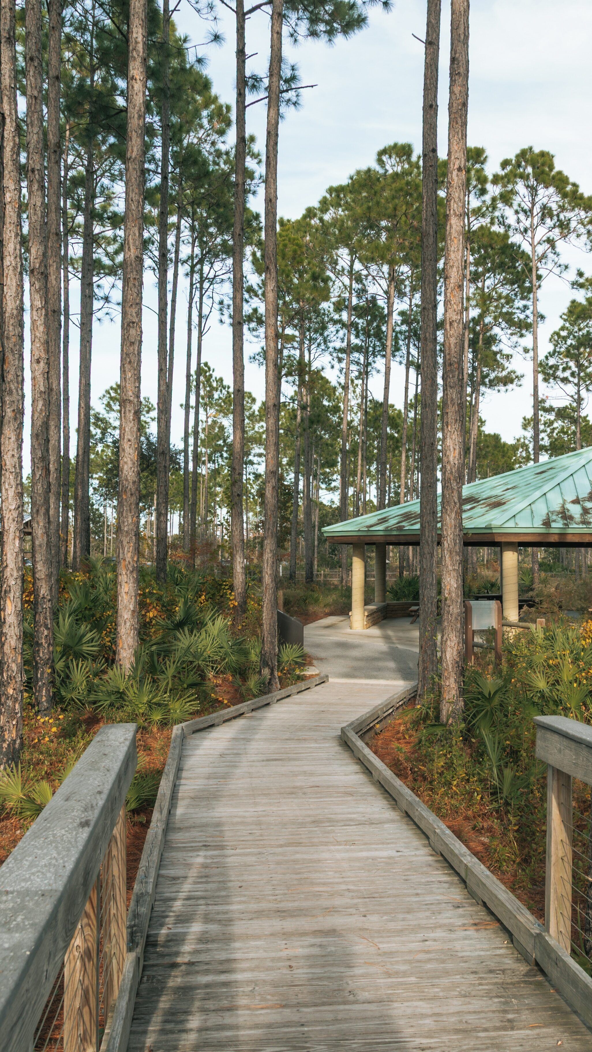 Explore the natural beauty of Conservation Park in Panama City Beach, Florida with winding paths and lush greenery