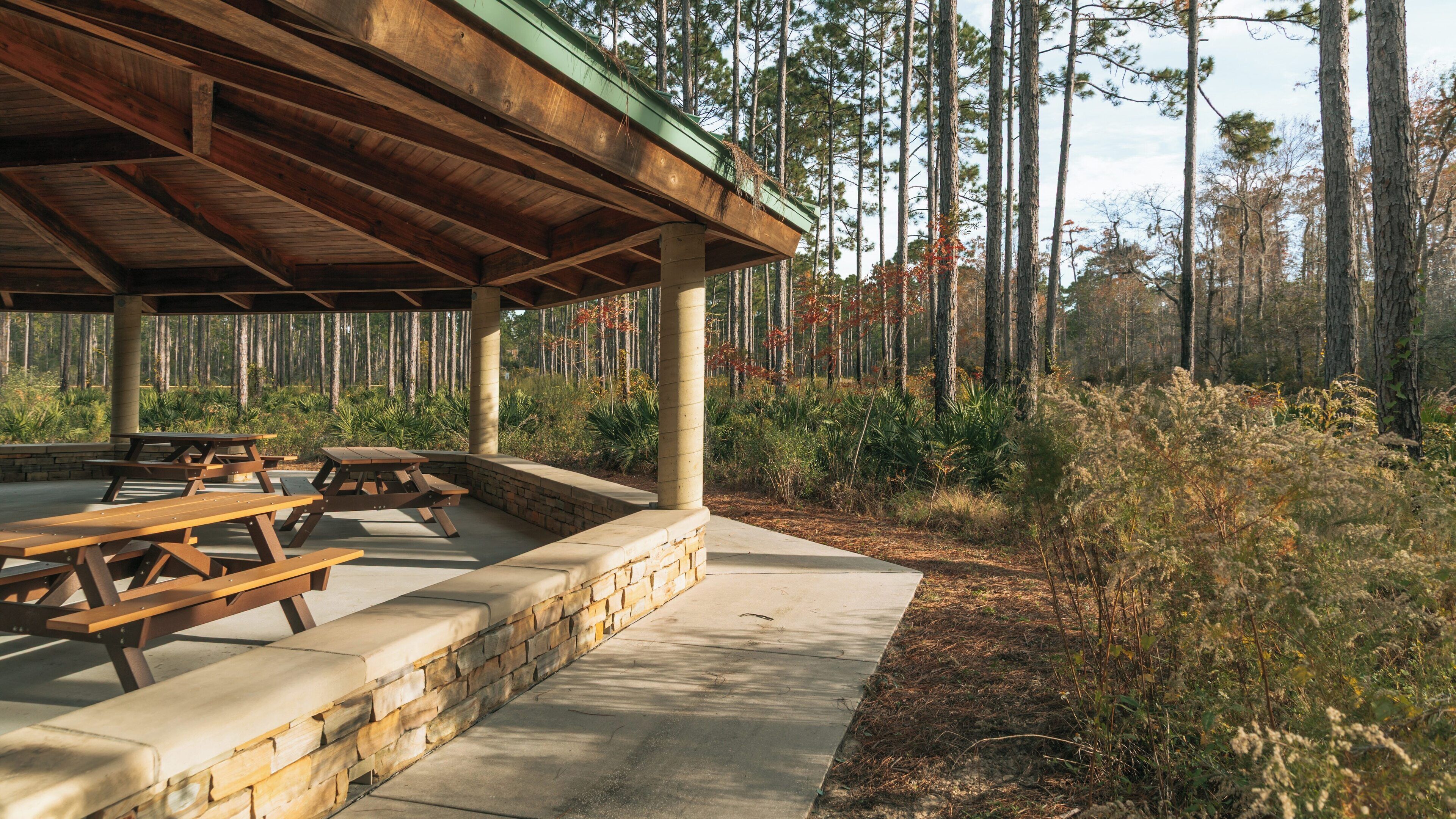 Explore the serene atmosphere of Conservation Park in Panama City Beach, Florida, featuring inviting picnic areas amidst lush forest scenery