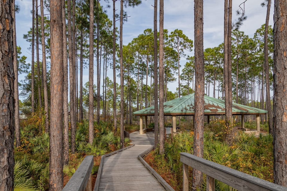 A wooden boardwalk leading to a covered pavilion surrounded by tall pine trees.