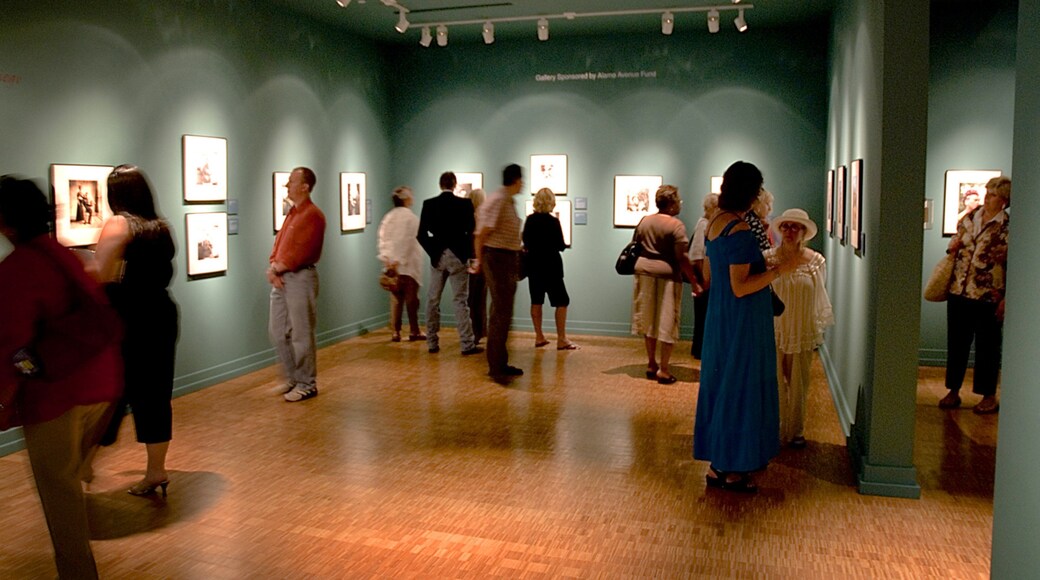 Zentrum für bildende Kunst Colorado Springs