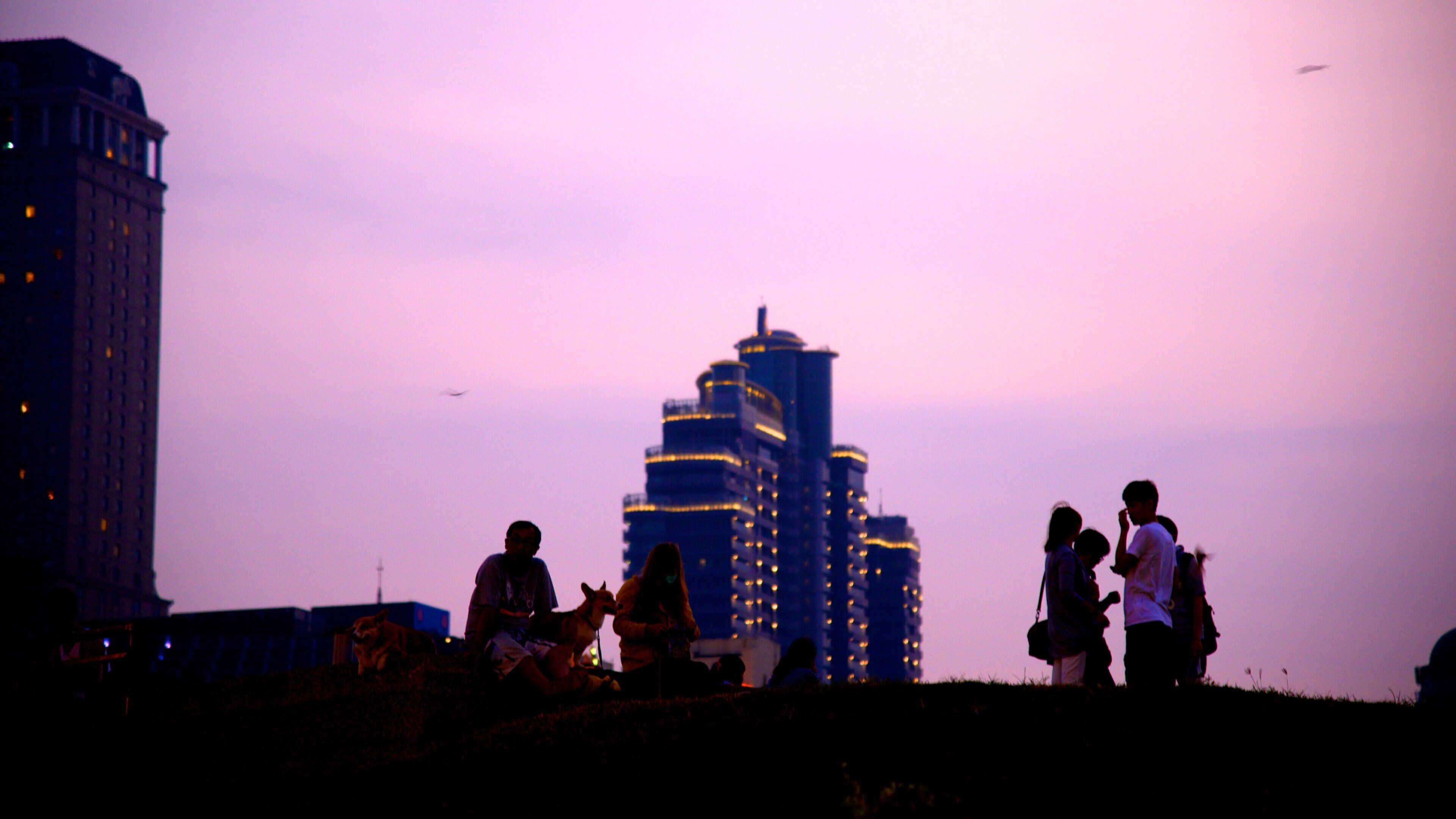 Central Park showing a sunset