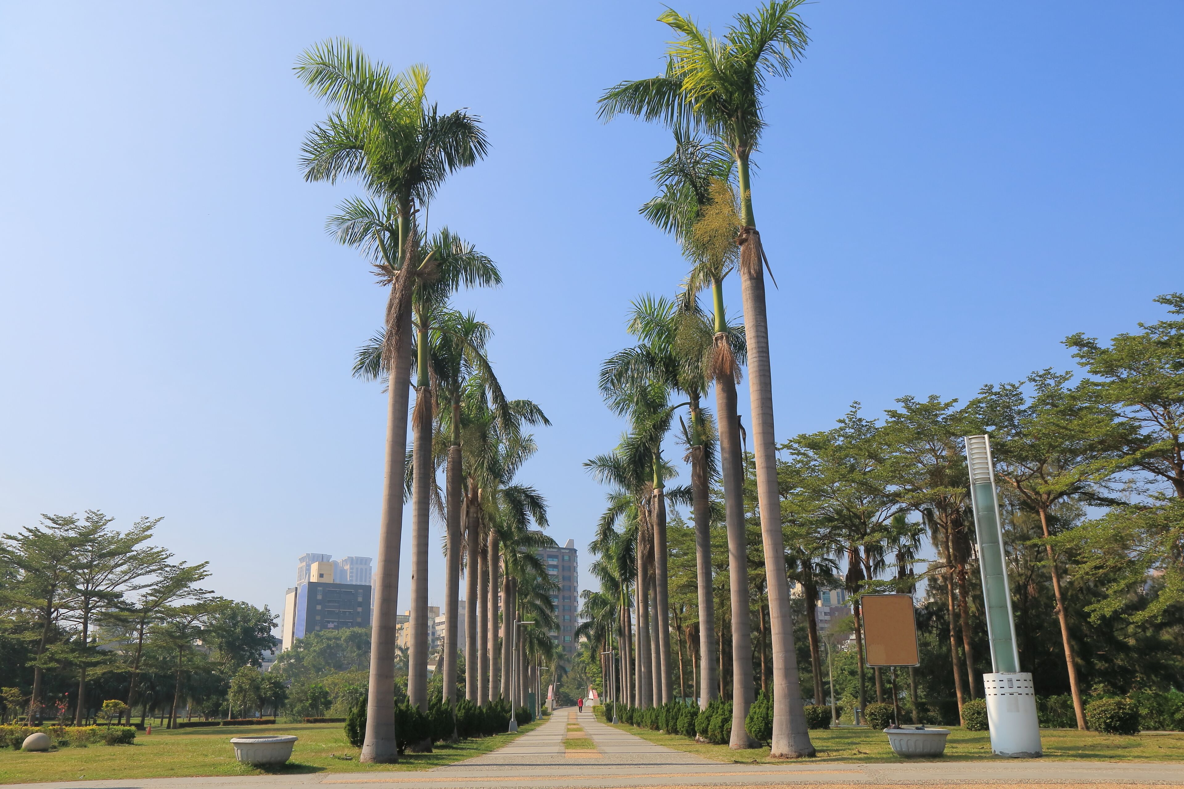 Central park in Kaohsiung Taiwan; Shutterstock ID 590281610; purchase_order: SF 06557000; job: ; client: ; other: