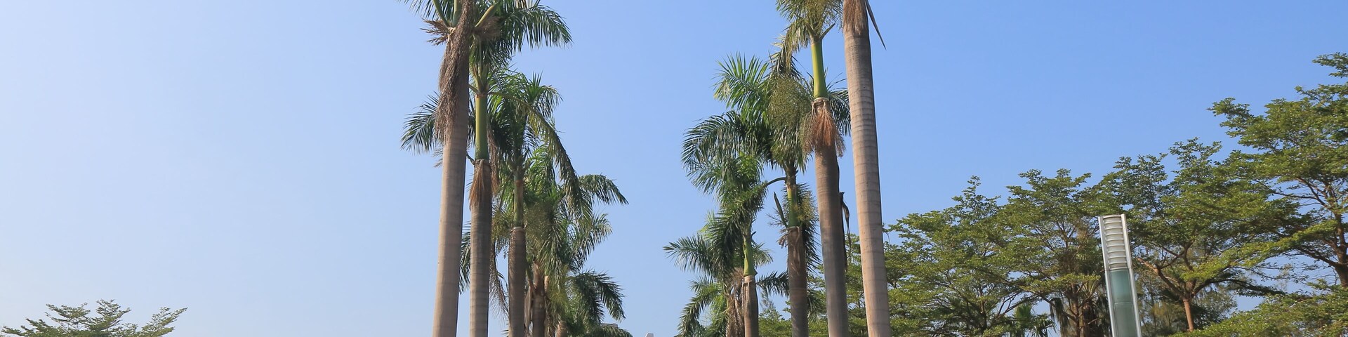 Central park in Kaohsiung Taiwan; Shutterstock ID 590281610; purchase_order: SF 06557000; job: ; client: ; other: